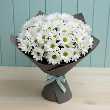 Букет цветов из:  Хризантемы в Агидели
