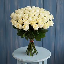 Букет 51 Белая роза Эдлесс Лав #REPLACE_PRED# Агидели